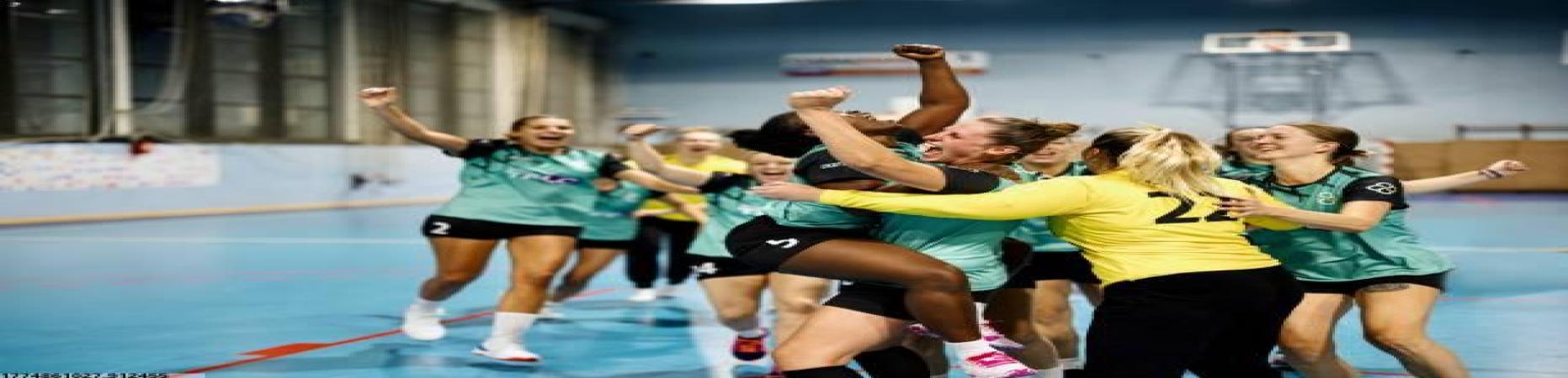 三亿体育定制红土配比服务案